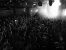 The crowd enjoying Nosebleed playing Gorilla at MPF2022.